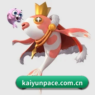 国际化进程（kaiyun）